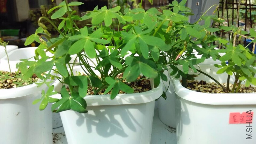 QQͼƬ20150818090728.jpg