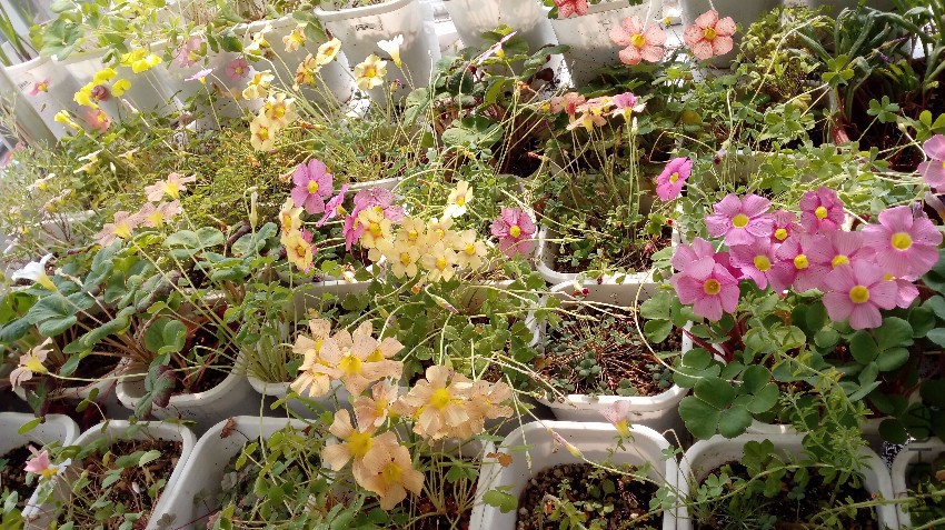 QQͼƬ20170507203354.jpg