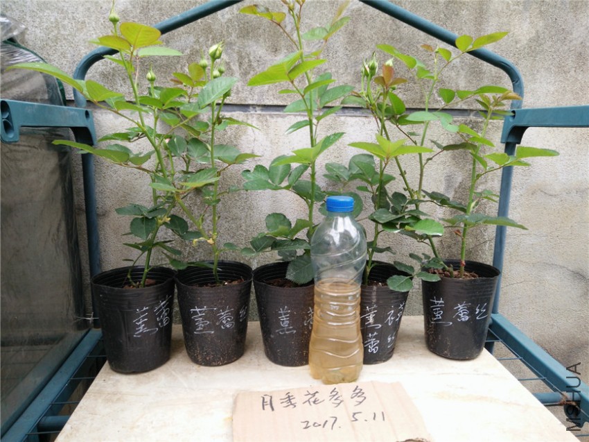 IMG20170511162346.jpg