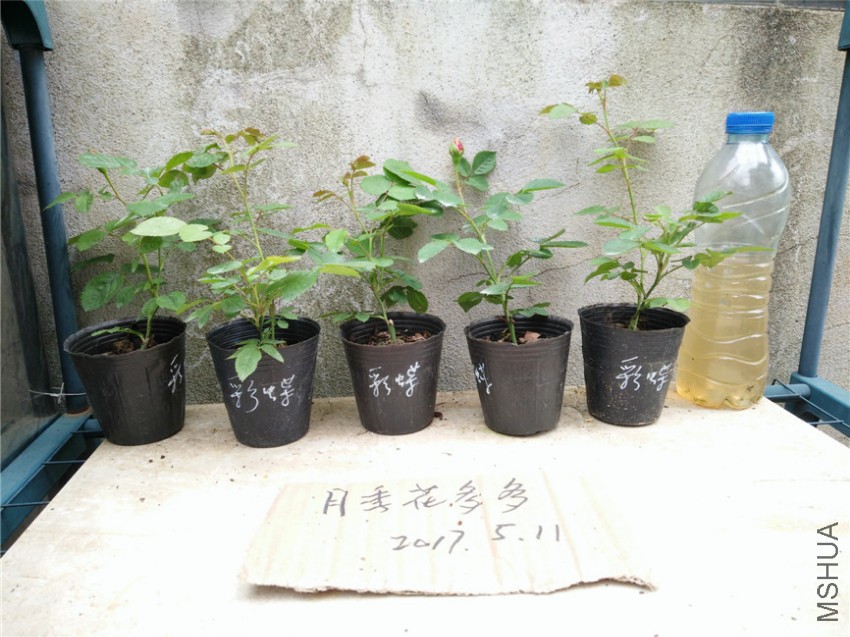 IMG20170511164001.jpg