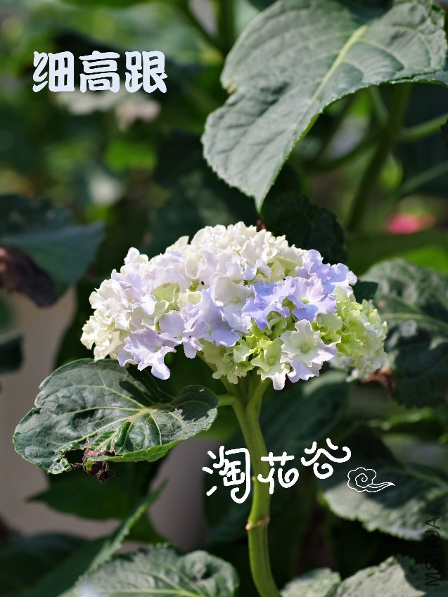 IMG_8760.JPG