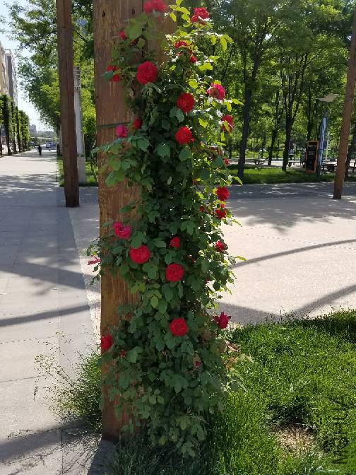154529awiatt4xttt3wkat.jpg