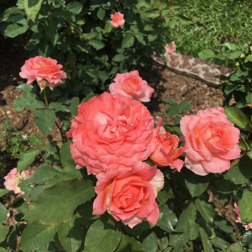 ΢��ͼƬ_20170512164232.jpg