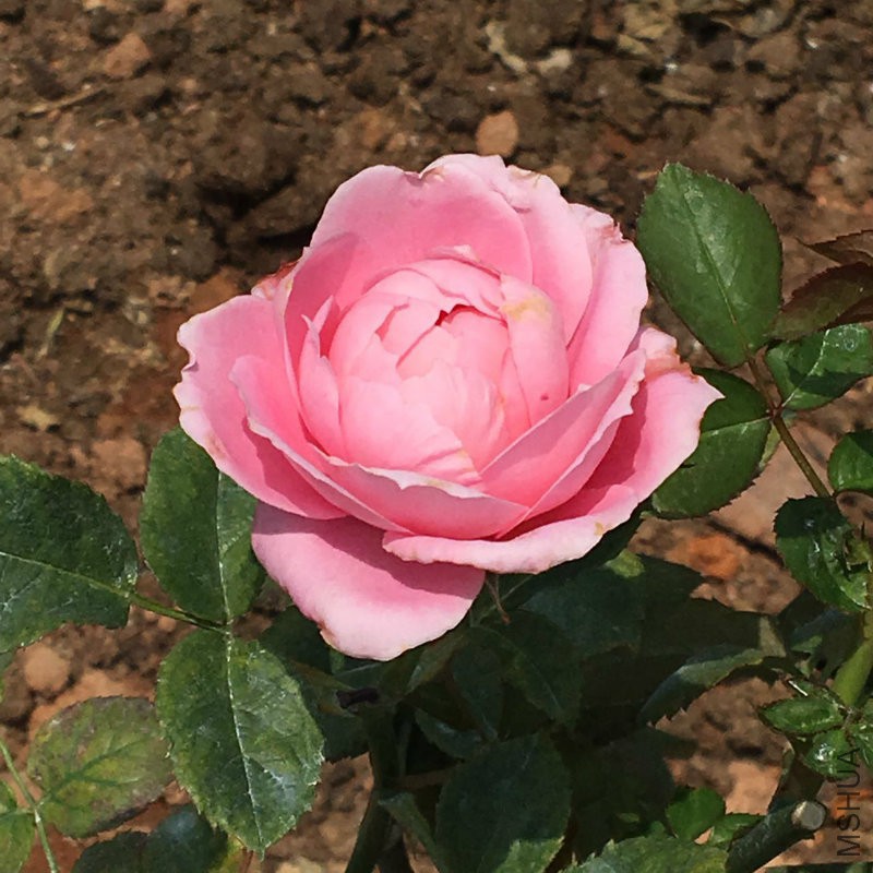 �?��图片_20170512164309.jpg