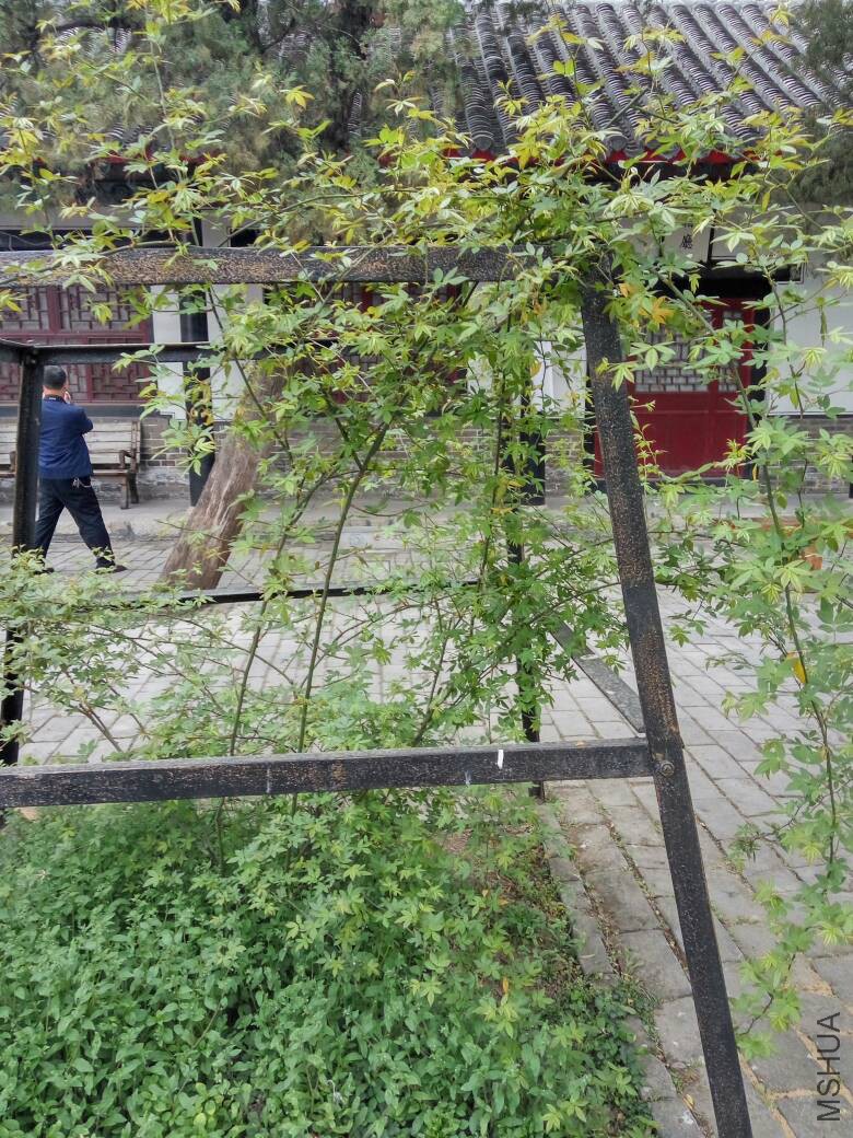 194212yrwzbjzrjj9r6ofr.jpg