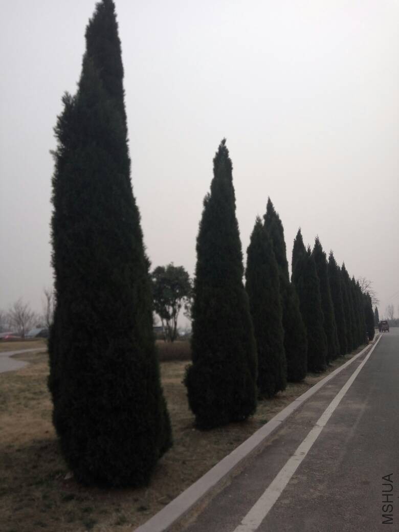 201106t9aazbcxzfjnxb14.jpg