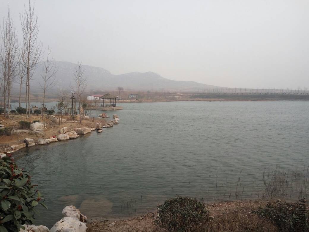 201325gkpl5g9rnilg4w96.jpg