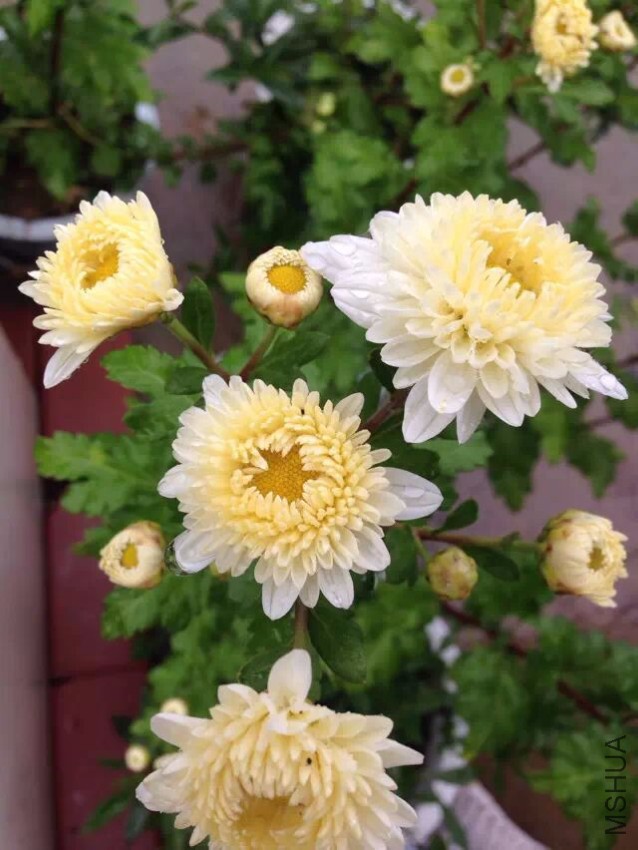 QQͼƬ20150605132720.jpg