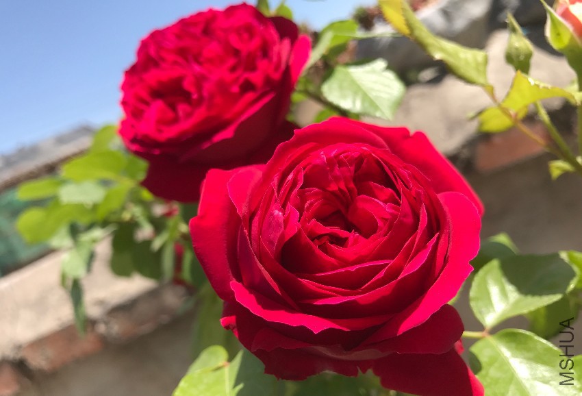 ����