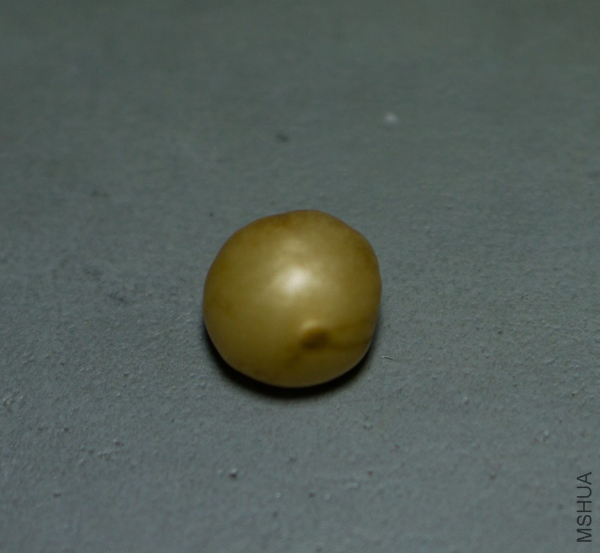 DSC03436.jpg
