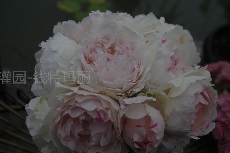 Ǯ��_����.jpg