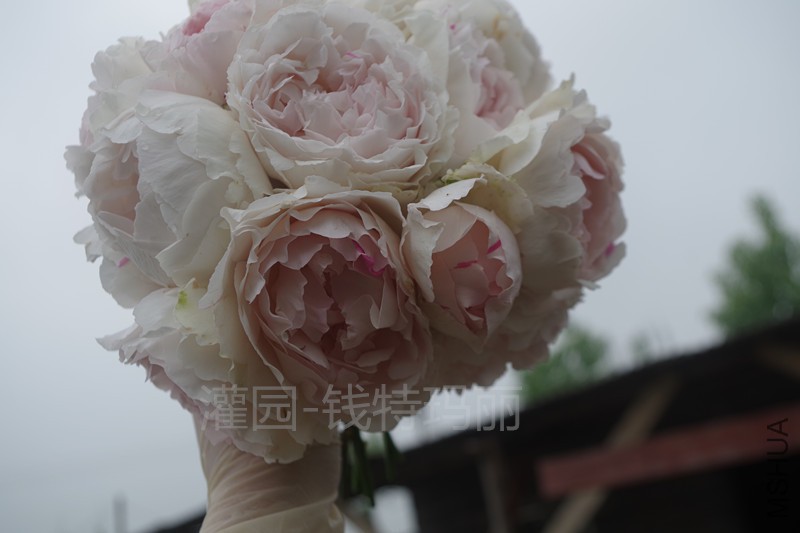 Ǯ��5 (2)_����.jpg