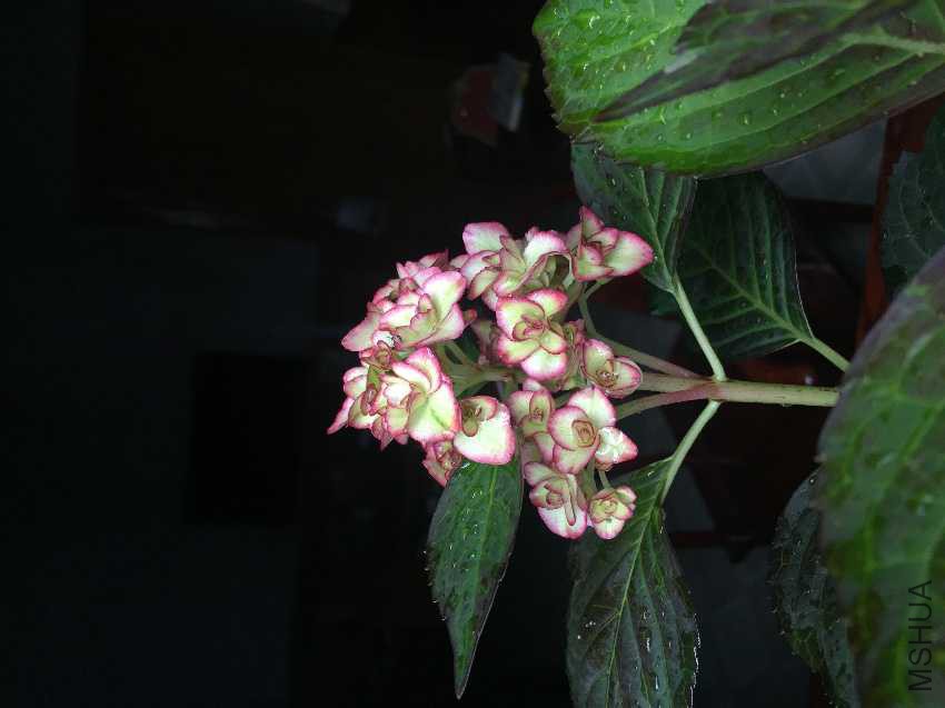 IMG_3974.JPG