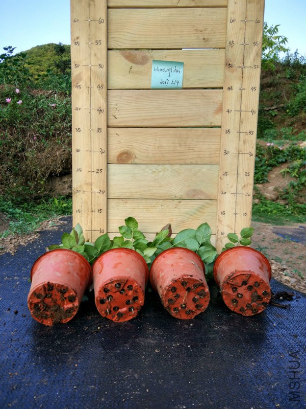 5�