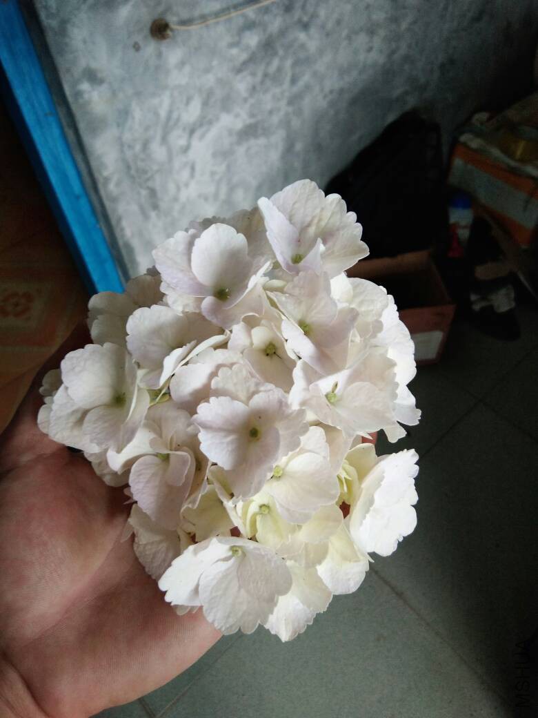 081042i41u4qhe55fv1rvi.jpg