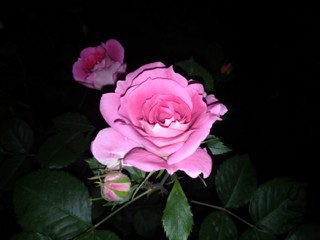 IMG_20170508_205304.jpg