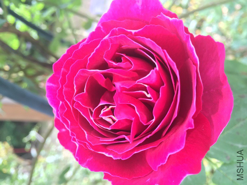 IMG_9640.JPG