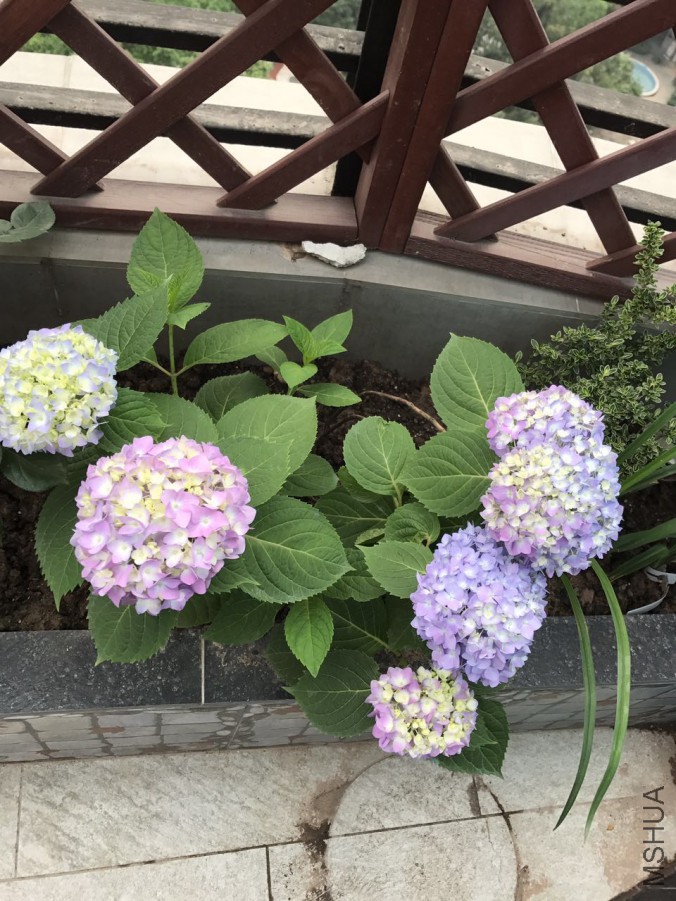 �޾���5��15��