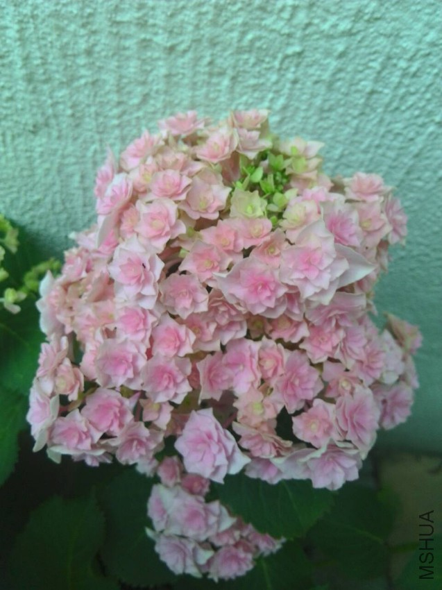 A75C41CC26C3C19FA2F255C2D64B2891.jpg