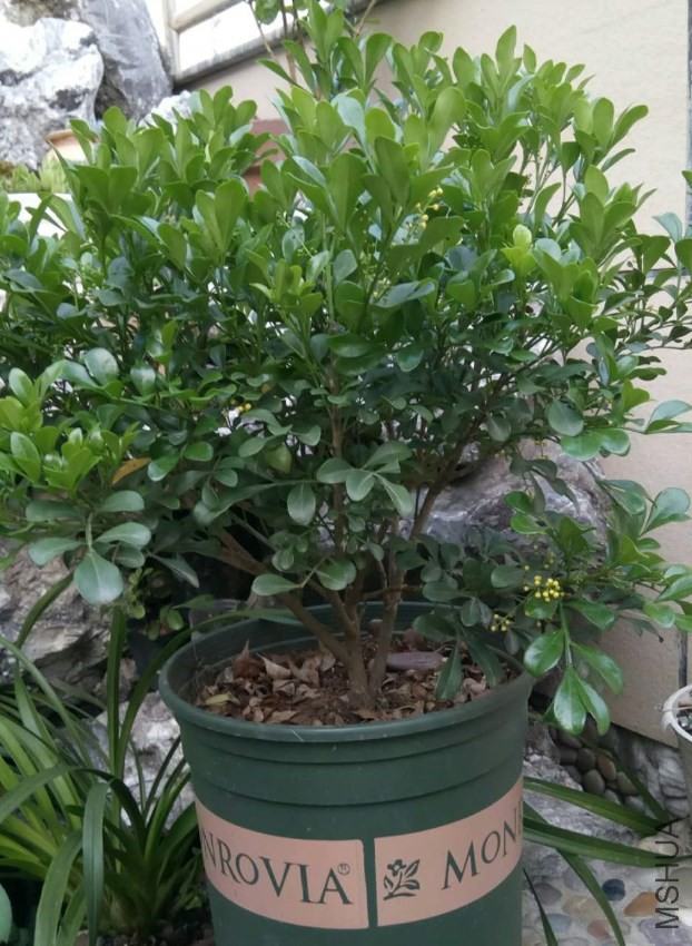 ΢��ͼƬ_20170517092611.jpg