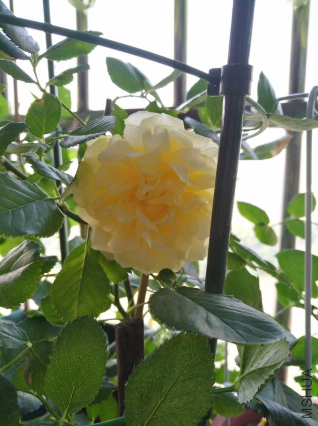 ΢��ͼƬ_20170518094811.jpg