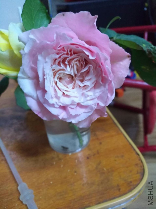 ΢��ͼƬ_20170518095658.jpg