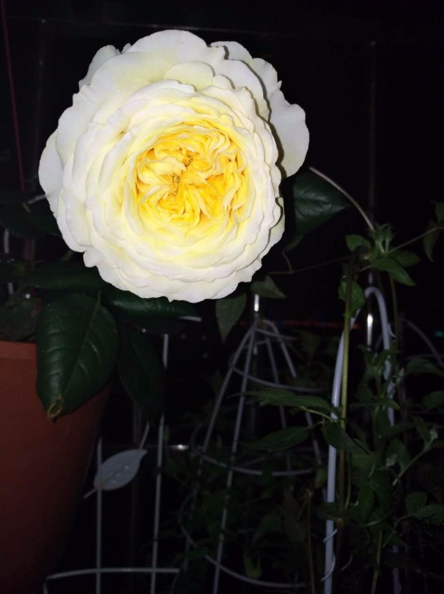 ΢��ͼƬ_20170518095125.jpg
