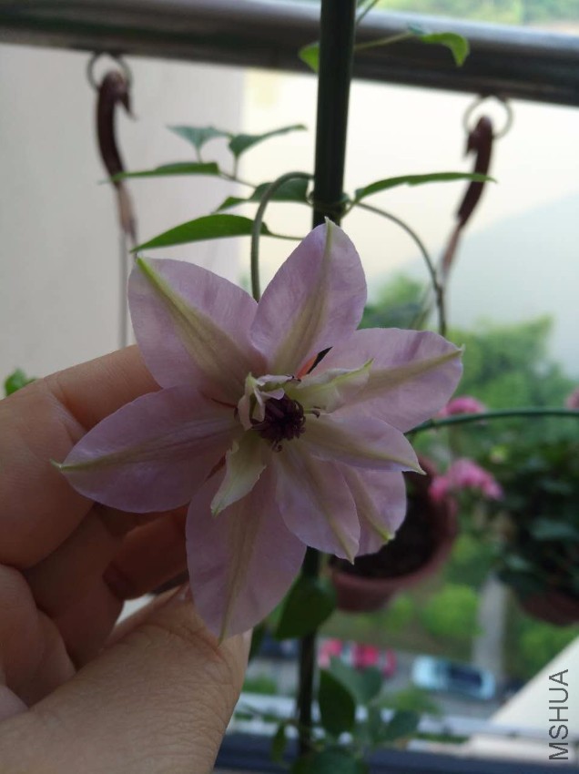 ΢��ͼƬ_20170518094838.jpg