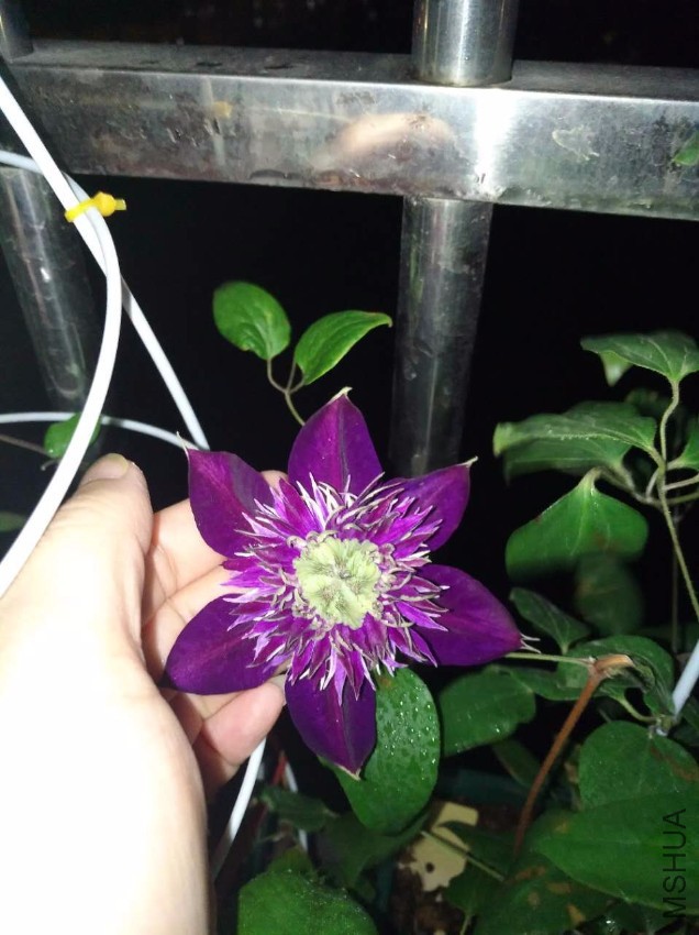 ΢��ͼƬ_20170518095144.jpg