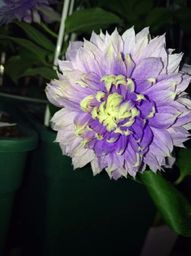 ΢��ͼƬ_20170518095148.jpg