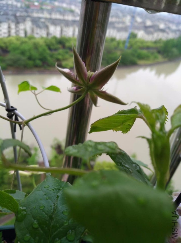 ΢��ͼƬ_20170518103234.jpg