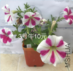 3�Ŵ���.png