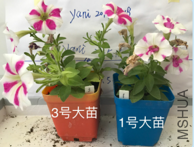 1�Ŵ���.png