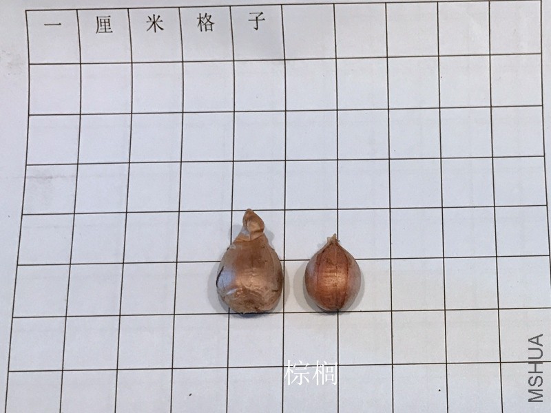 ���20170518_����.jpg