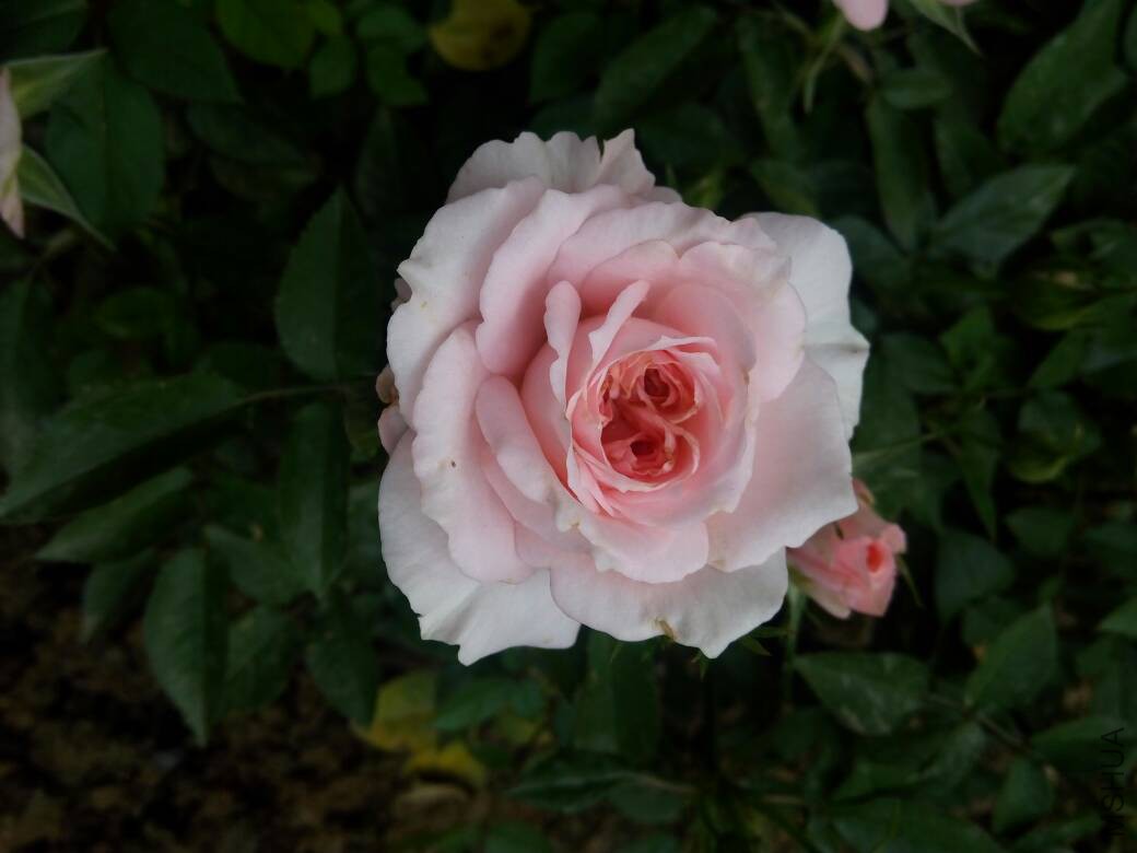 190119sv7o7q6nz6x2d662.jpg