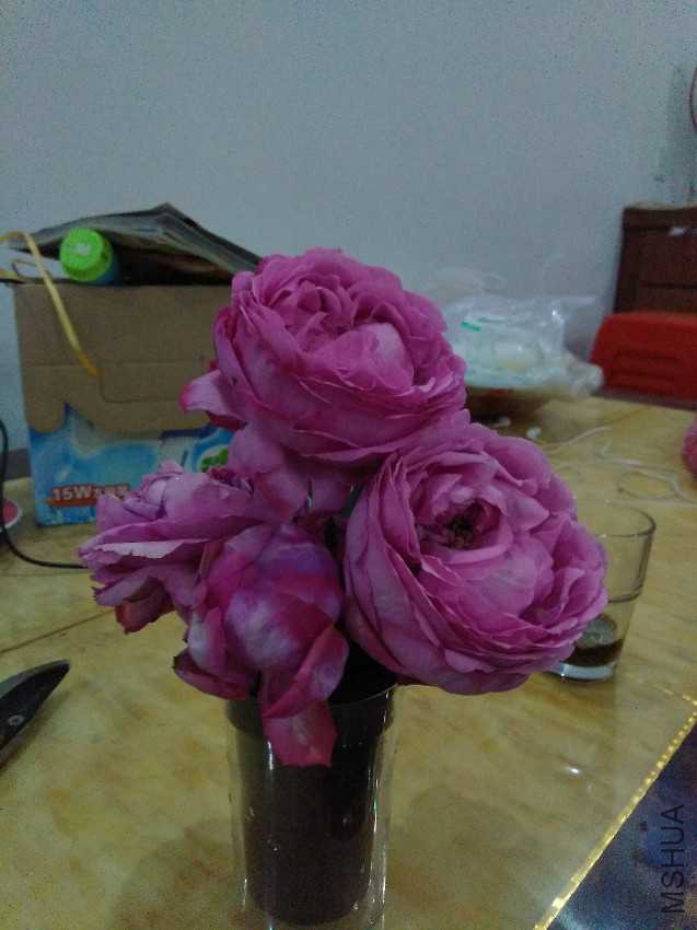 IMG20170518191316.jpg