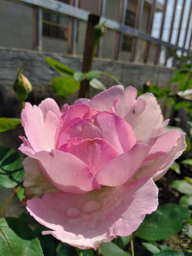 IMG20170512141515.jpg