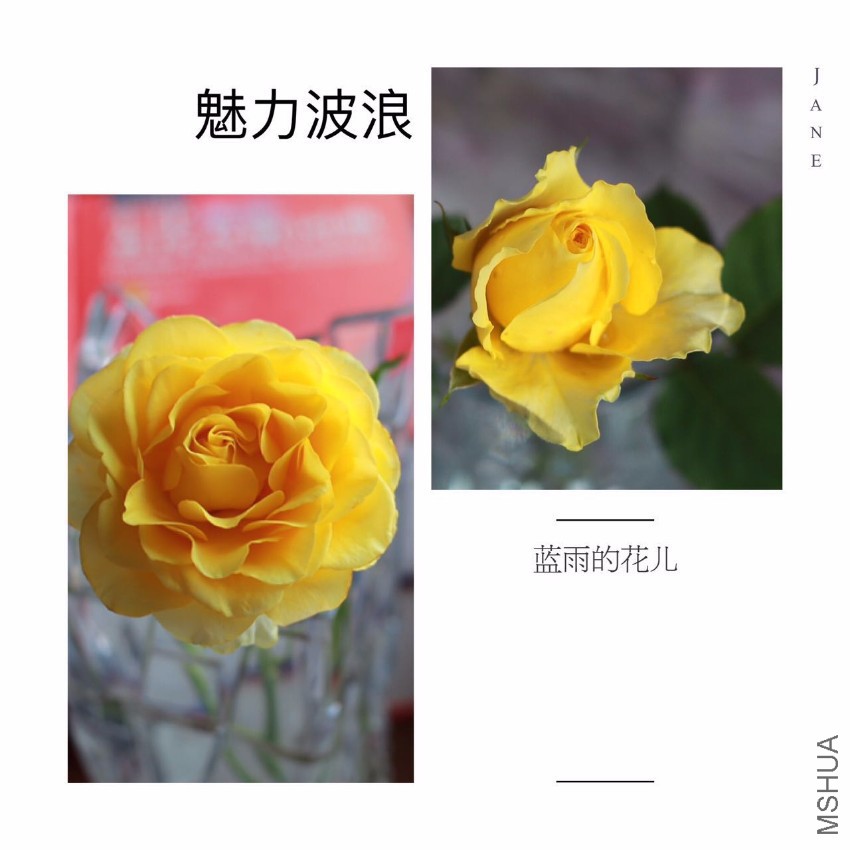 ΢��ͼƬ_20170520203645.jpg