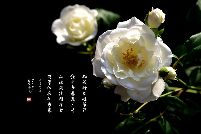 DSC_5777_����_����.jpg