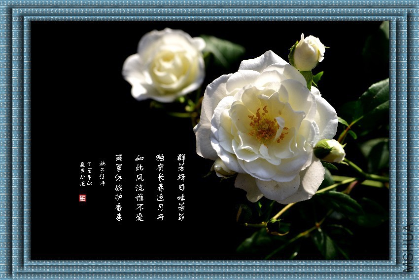 DSC_5777_����_����_����.jpg