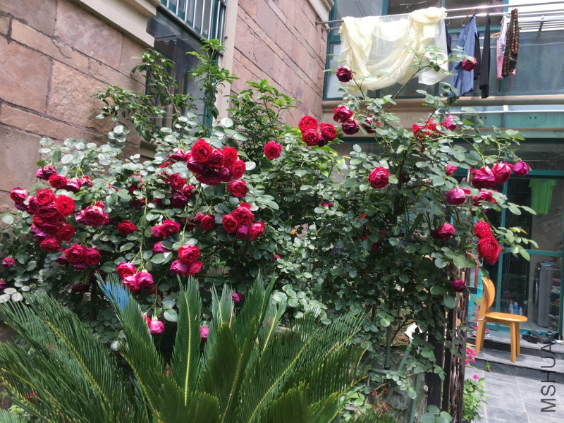 ������ĵ�