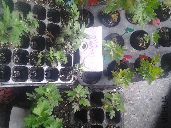 20170519_071409.jpg