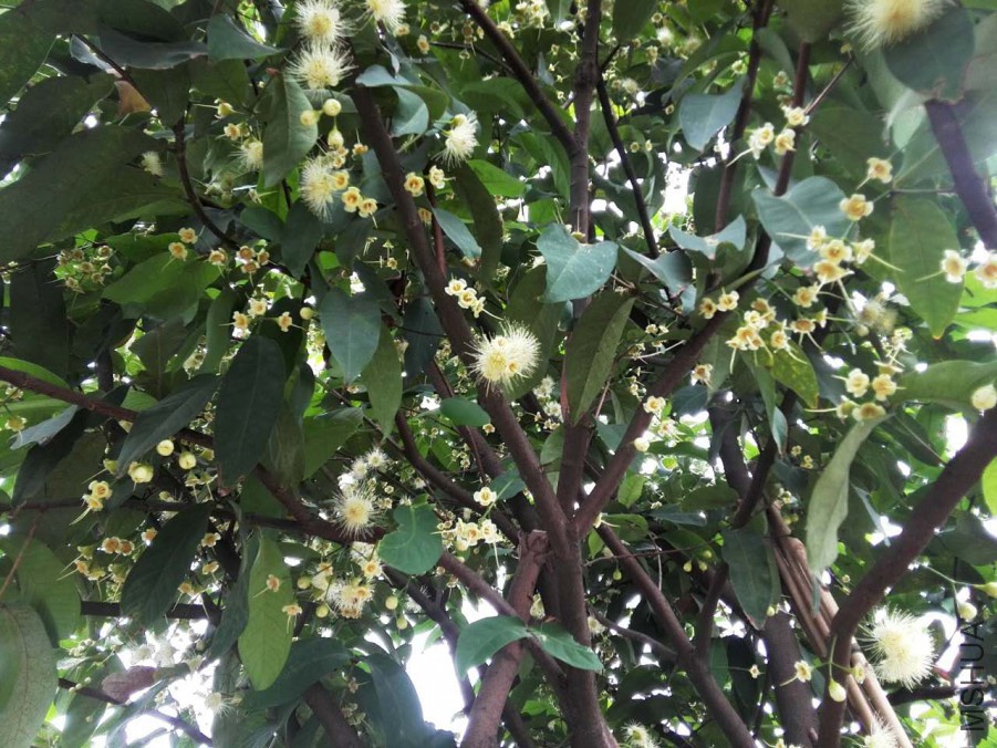 ΢��ͼƬ_20170522164326.jpg