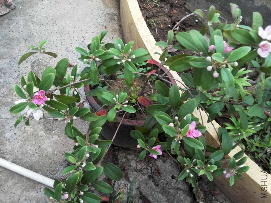 ΢��ͼƬ_20170522164428.jpg