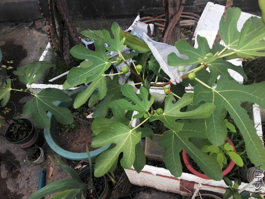 ΢��ͼƬ_20170522174652.jpg