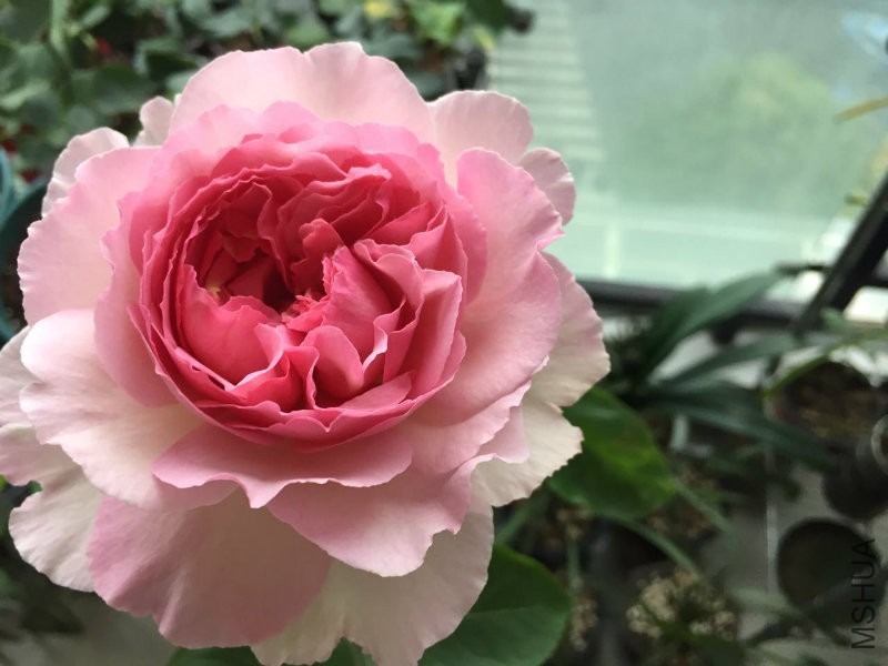 �?��图片_20170522190737.jpg