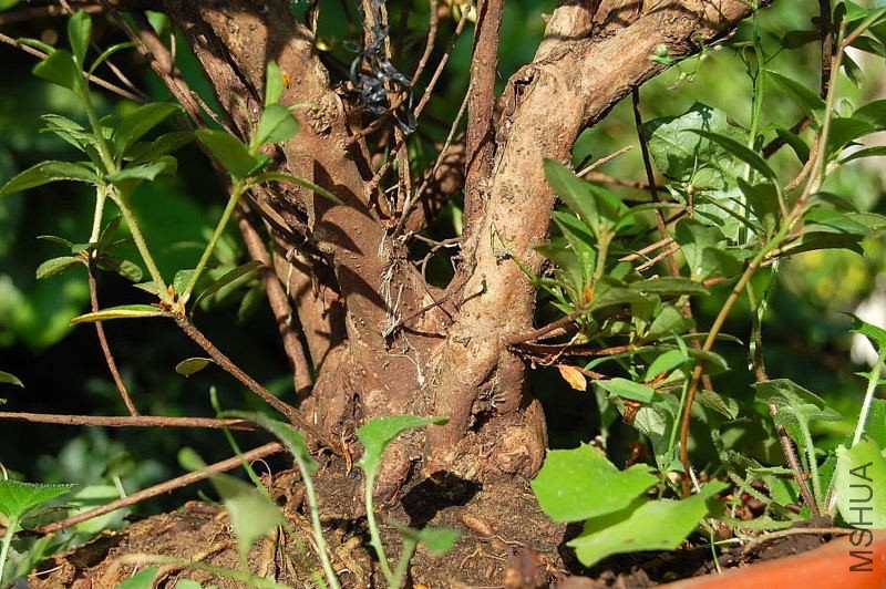DSC_92260171.JPG