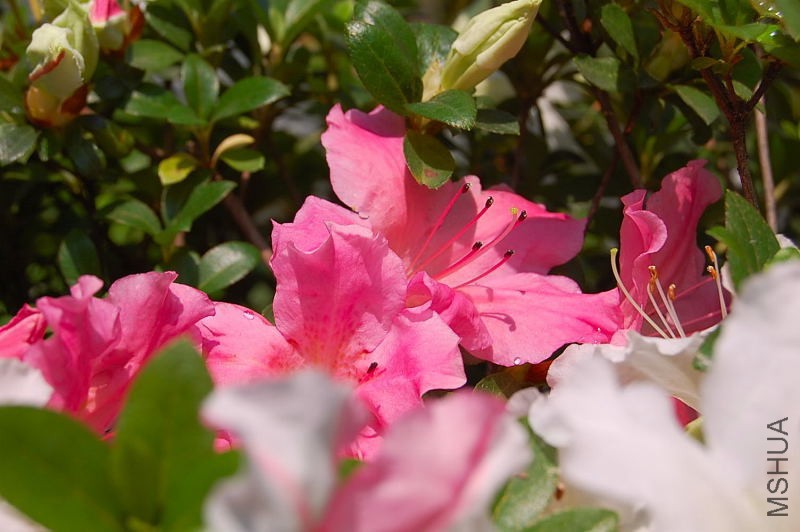 DSC_91940139.JPG