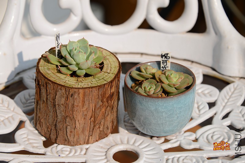 ��Ƭ 214_����.jpg