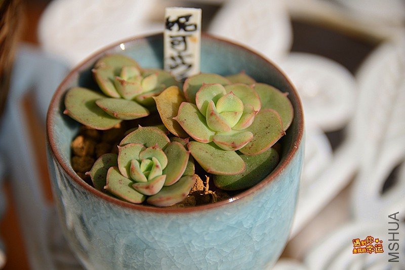 ��Ƭ 218_����.jpg